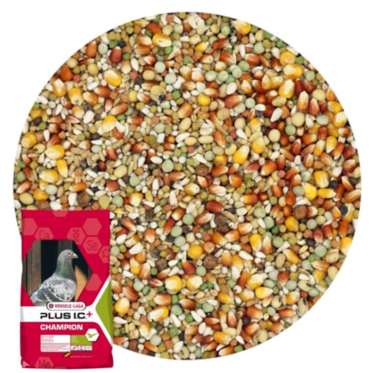 champion_plus_20kg_porumbei-sanatosi-vrac