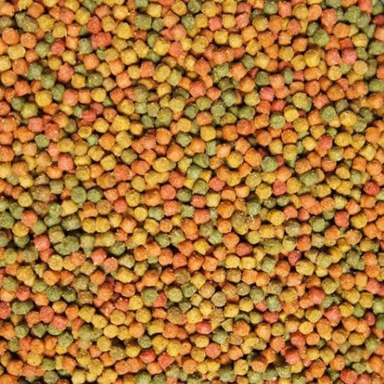 hrana_porumbei_sanatosi_energy_corn_versele_laga