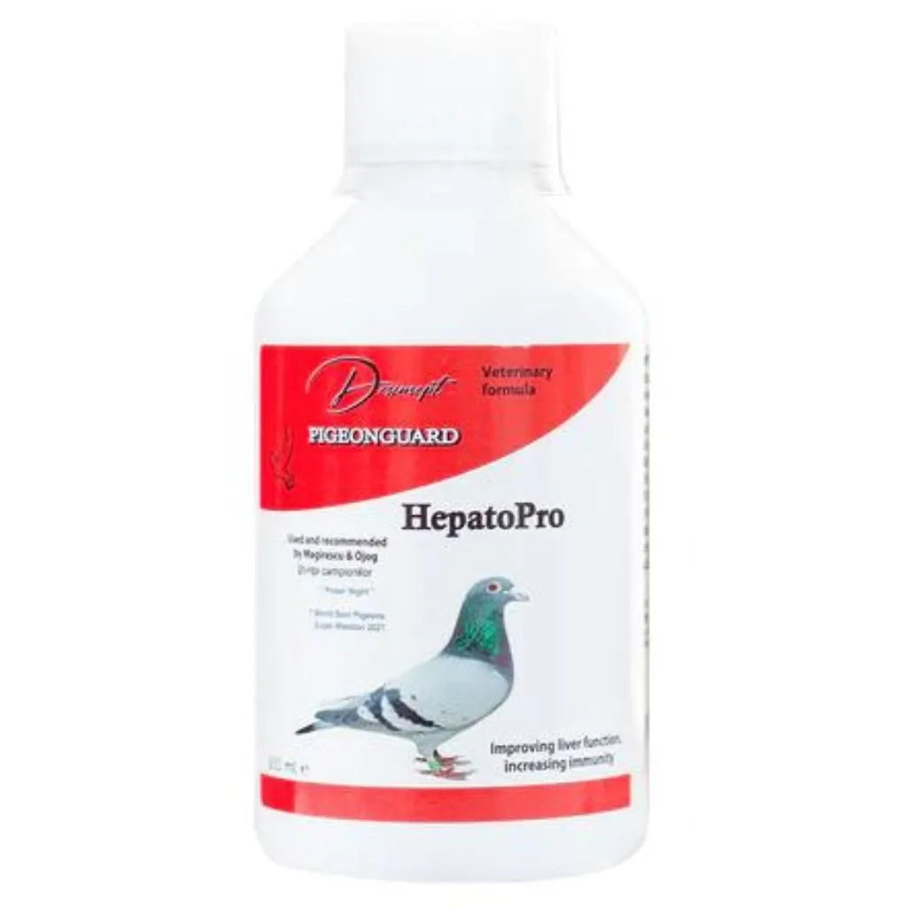pigeon_complet_pigeonguard_300_ml_produse_porumbei_sanatosi