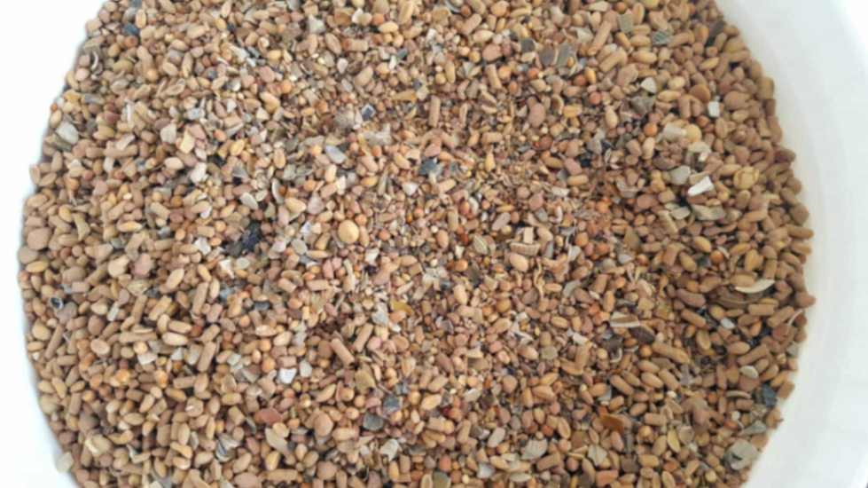 Multi-Mix - Usturoi și Ceapă 10kg: Sănătate și performanță la porumbei