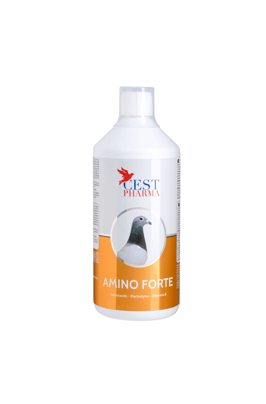 amino_forte_tratament_produse_porumbei_aminoacizi_electroliti_electroliti_vitamine