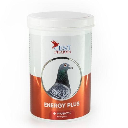 energy_plus_tratament_produse_porumbei_vitamine
