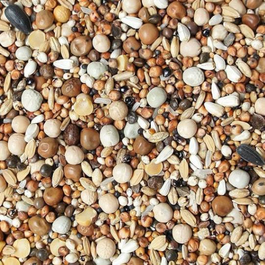 hrana_porumbei_sanatosi_crestere_energie_flornas